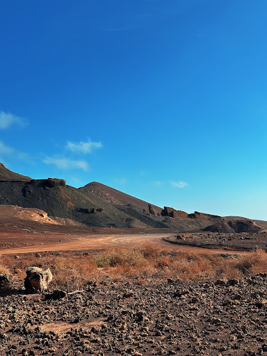 Photo from customer review