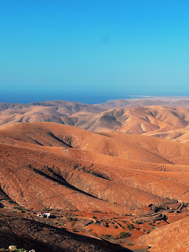 Photo from customer review